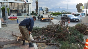 Çatılar uçtu, ağaçlar devrildi, iskeleler hasar gördü