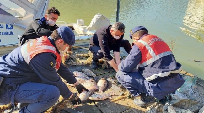 Kaçak balık avcılarına geçit yok