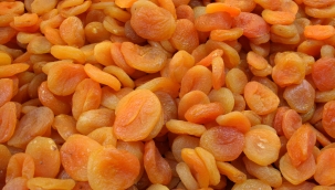 Kuru kayısı ihracatında yüzde 7'lik artış