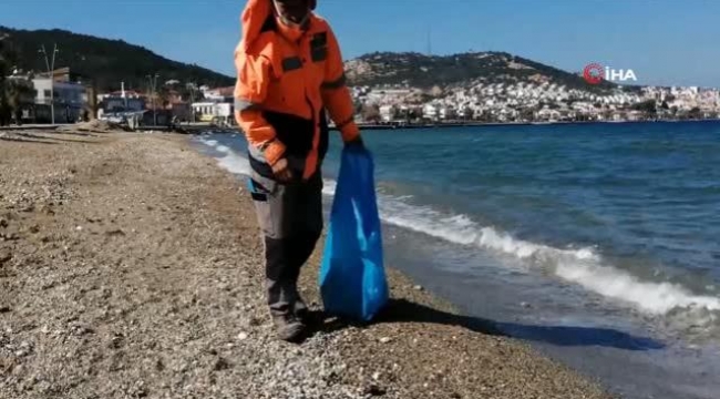 Yeni Foça'da Ölü Balıklar Kıyıya Vurdu