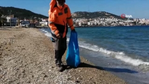 Yeni Foça'da Ölü Balıklar Kıyıya Vurdu