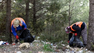 Aliağa Belediyesi'nden Orman Temizliği