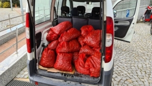 kaçak yollarla avlanan 400 kilogram midye denize bırakıldı