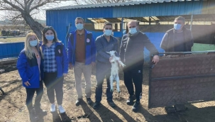 Kaymakam Karaman Hayvancılık Faaliyeti Yapan İşletmeleri Denetledi.