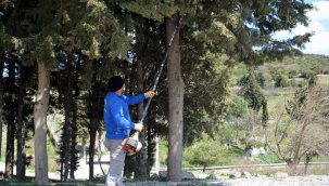 Aliağa Belediyesi Ekipleri Aşağı Şakran Mahallesi'nde