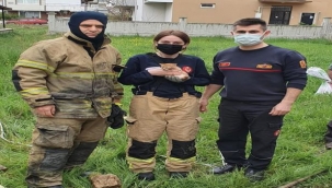 Aliağa'da 3 metrelik kuyuya düşen kediyi itfaiye kurtardı