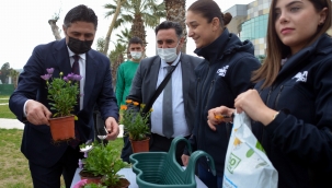 Aliağa'da "Balkonda Bahar Var": 20 Günde 20 Bin Başvuru