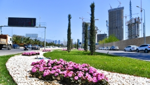 İzmir çiçek açtı