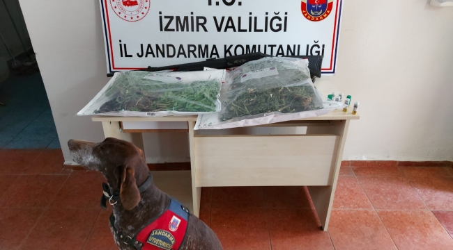  İzmir'de 1.5 kg kubar esrar ele geçirildi.