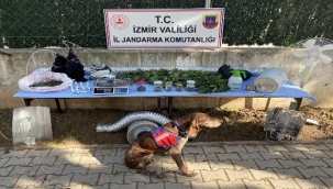  jandarmadan zehir baskınları: 3 tutuklama