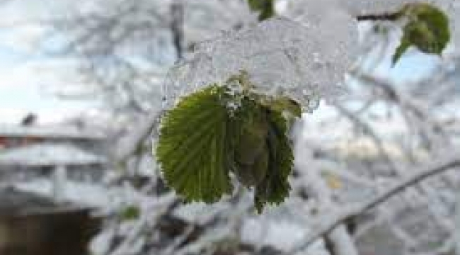 Meteorolojiden Fırtına ve Zirai Don Uyarısı