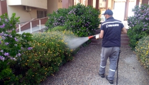 Aliağa Belediyesi Sivrisinekle Mücadelesini Sürdürüyor