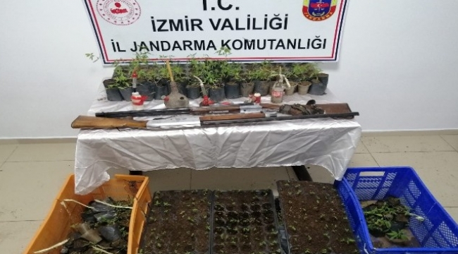 jandarmadan zehir tacirlerine baskın