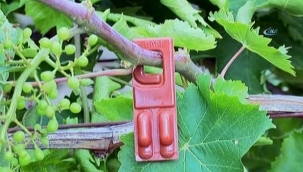 "Kimyasal Mücadele Üretimde Son Çare Olmalı"