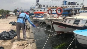 Körfez'deki deniz marulları temizleniyor