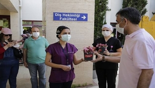 Pandemide hemşirelik mesleğinin önemi anlaşıldı