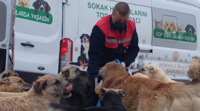 Tüpraş, Sokak Hayvanlarının Yiyecek İhtiyacı için Desteğini Sürdürüyor