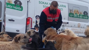 Tüpraş, Sokak Hayvanlarının Yiyecek İhtiyacı için Desteğini Sürdürüyor