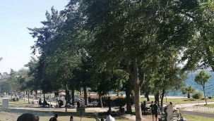 Aliağa'da sahiller canlanmaya başladı