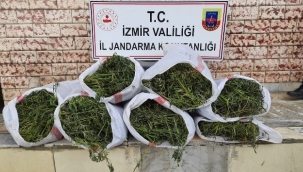 Bergama ile Foça ve 3 İlçede uyuşturucu operasyonları: 6 gözaltı