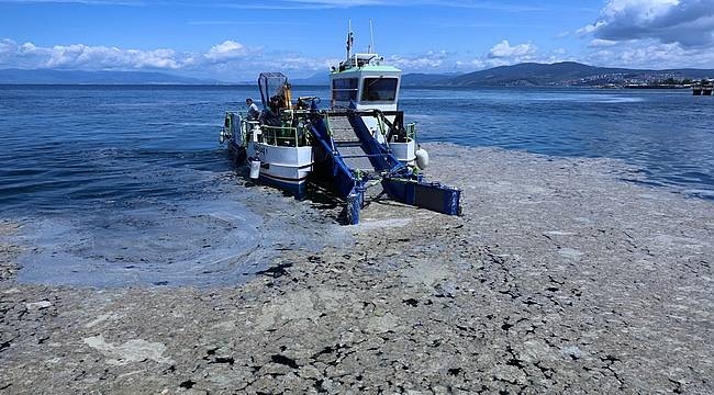 Çevre felaketi ekonomi için fırsat olabilir