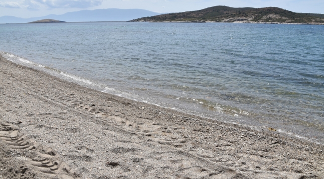 İzmir 14 yeni plajla Türkiye lideri oldu