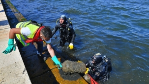 İzmir Büyükşehir Belediyesi dalgıçları Körfez'de dip temizliği yaptı