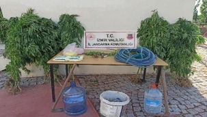 Jandarmadan zehir tacirlerine darbe: 16 gözaltı