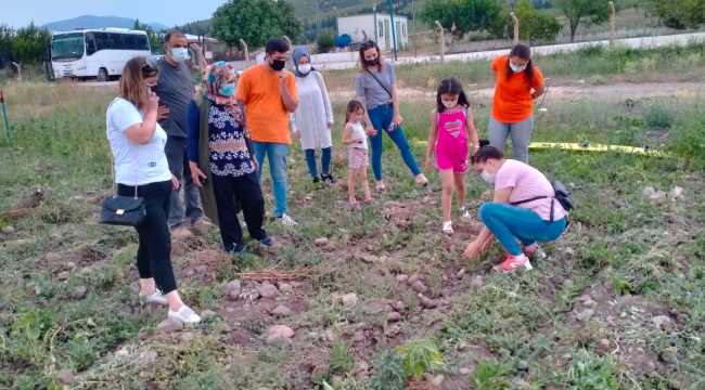 Kınık'ta Tibbi Ve Aromatik Bitki Yetiştiriciliği Kursiyerleri İlk Ürünleri Yerinde İnceledi