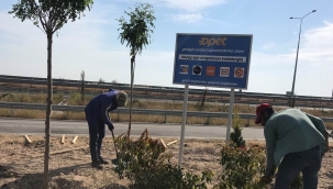 OPET'te kağıt slip dönemi sona eriyor yerine fidanlar dikiliyor