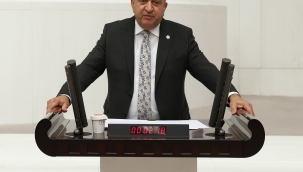Serter: "Deniz hıyarının talan edilmesini neden engellemediniz ?"