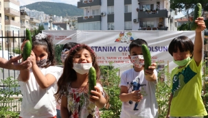 ÜCRETSİZ DAĞITILAN SEBZE FİDELERİYLE OKUL BOSTANI OLUŞTURULDU