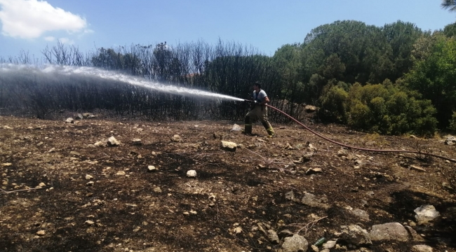 Aliağa'da çıkan  yangın korkuttu