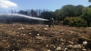 Aliağa'da çıkan  yangın korkuttu