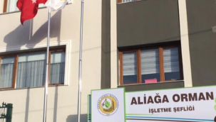 Aliağa'da  ormanlara girmek yasaklandı