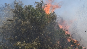Aliağa'daki yangında korku dolu anlar