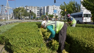 Aliağa Mevsimlik Çiçeklerle Renkleniyor