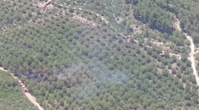 Aliağa ve Menderes'teki orman yangınları kontrol altında
