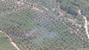 Aliağa ve Menderes'teki orman yangınları kontrol altında