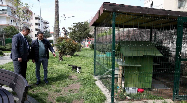 Can dostları 'ev'lendirecek proje: KediYaka