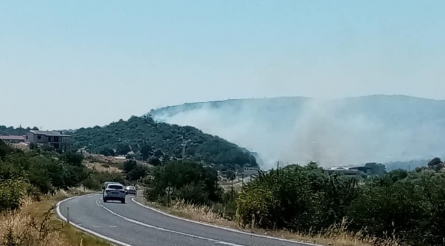 Dikili'de korkutan yangın