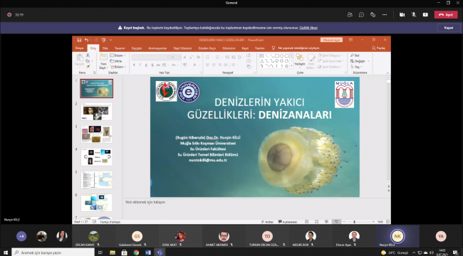 Doç. Dr. Killi, "Ölü denizanalarına kesinlikle dokunmayın"