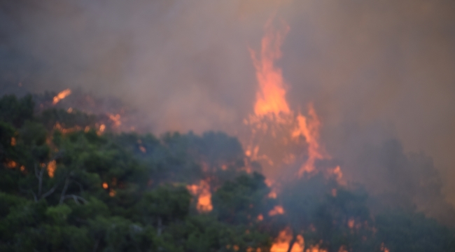 Foça'da yangını kontrol altına alma çalışmaları sürüyor