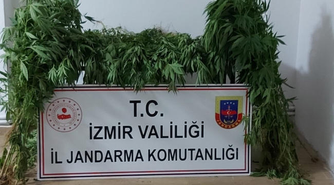 İzmir'de jandarmadan 9 ilçede operasyon