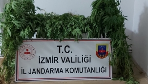 İzmir'de jandarmadan 9 ilçede operasyon