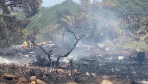 İzmir'de Makilik ve ağaçlık  alanda çıkan yangın söndürüldü