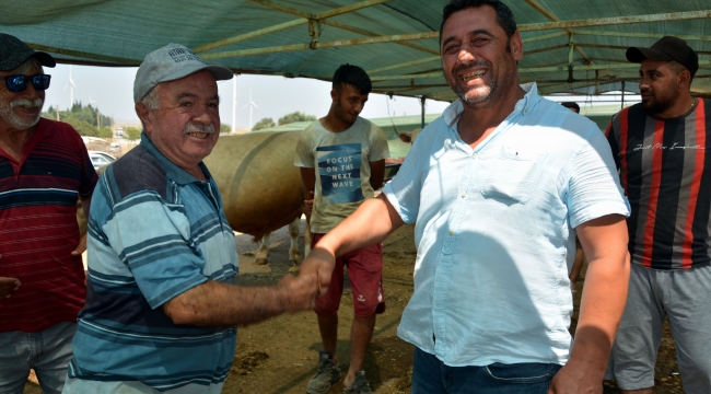 Kurban Pazarında Sıkı Pazarlıklar Yapılıyor