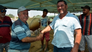 Kurban Pazarında Sıkı Pazarlıklar Yapılıyor