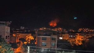 Soma'da orman yangını