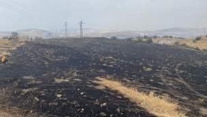 Aliağa da çıkan yangın ormanlık alana sıçramadan söndürüldü